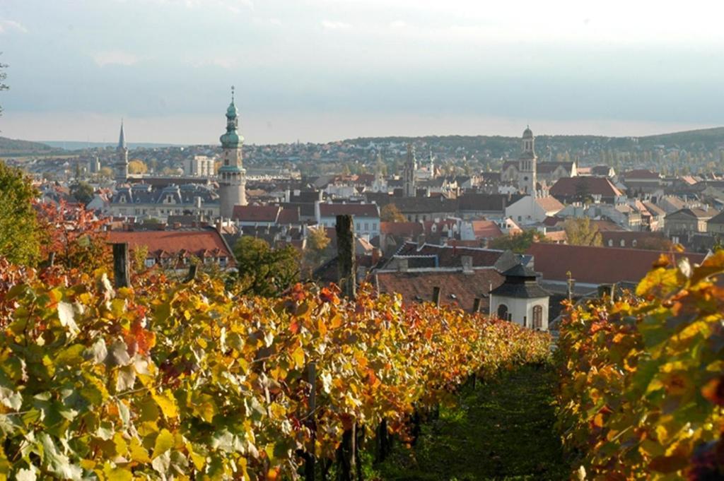 Polus Pension Sopron Exterior foto